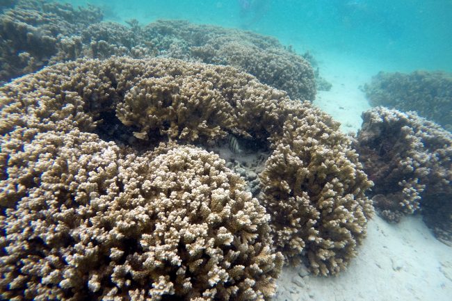 DCIM100GOPROGOPR0112.
