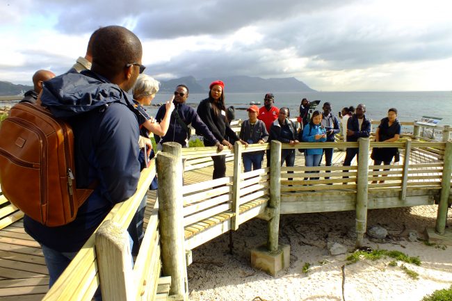 Boulders Beach, Simonstown