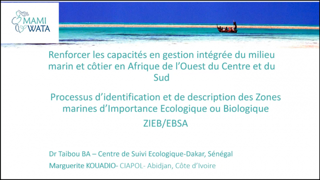 EBSA Webinar