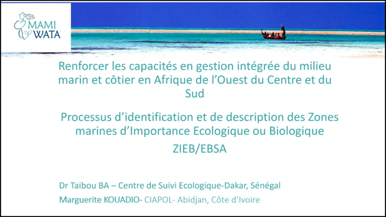 EBSA Webinar